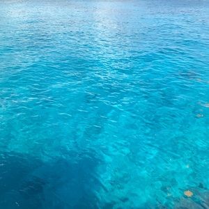 Meet your Posher, Elise